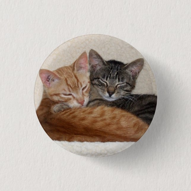 Cute Tabby Kittens Button / Badge (Front)
