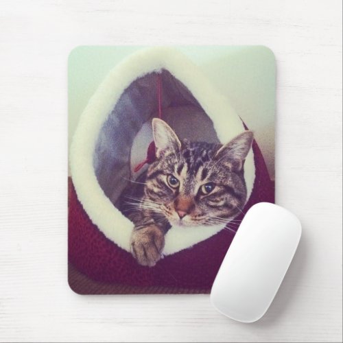 Cute Tabby Kitty In Hut Photo 70s Filter Effect Mouse Pad
