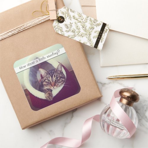 Cute Tabby Kitty In Hut Photograph Template Square Sticker