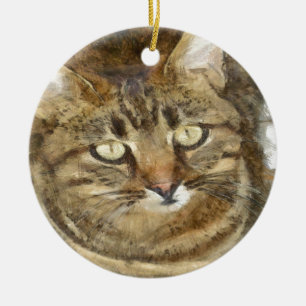 Cute Tabby Looking Up Pencil Sketch Ceramic Ornament