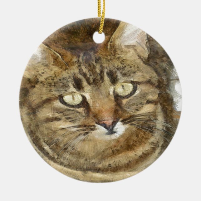 Cute Tabby Looking Up Pencil Sketch Ceramic Ornament (Front)