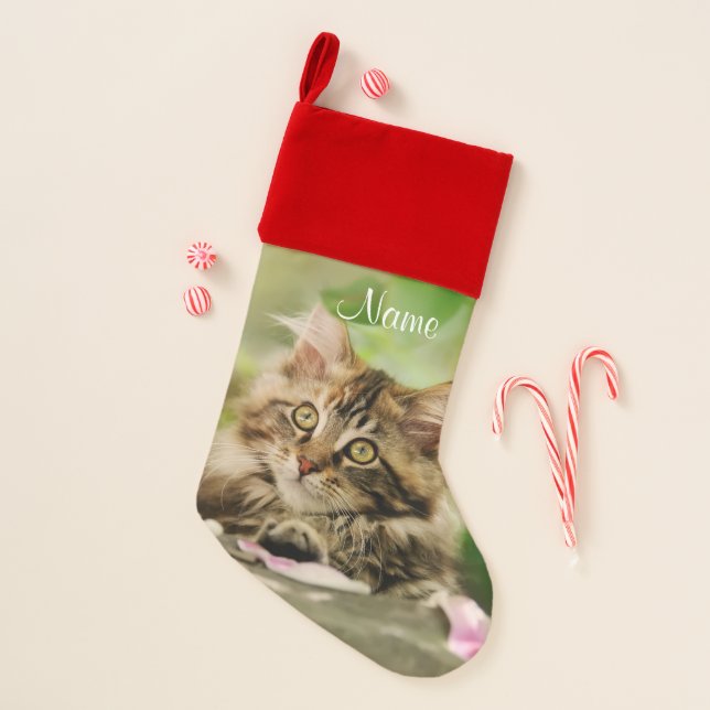Cute Tabby Maine Coon Cat Kitten Fluffy Head Photo Christmas Stocking (Front)