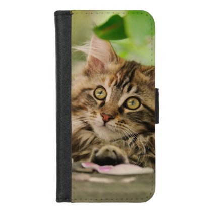 Cute Tabby Maine Coon Cat Kitten Fluffy Head Photo iPhone 8/7 Wallet Case