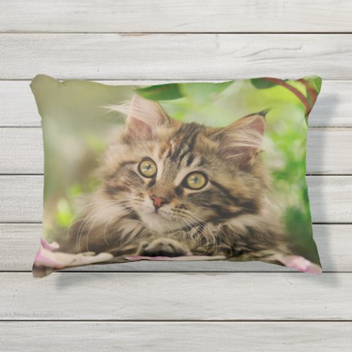 Cute Tabby Maine Coon Cat Kitten Fluffy Head Photo Outdoor Pillow