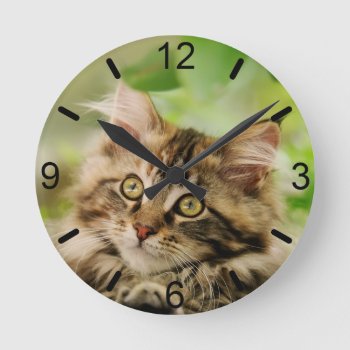 Cute Tabby Maine Coon Cat Kitten Fluffy Head Photo Round Clock by Kathom_Photo at Zazzle