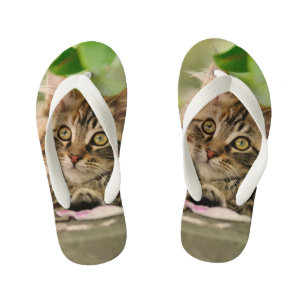 Cute Tabby Maine Coon Cat Kitten Fluffy Photo Kids Kid's Flip Flops