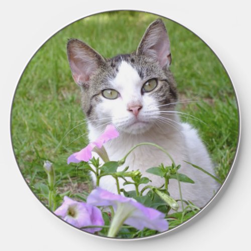 Cute Tabby  White Kitten in the Flowers Wireless Charger