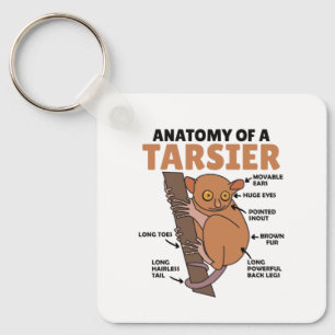 Cute Tarsier Anatomy Of A Tarsier Explanation Keychain