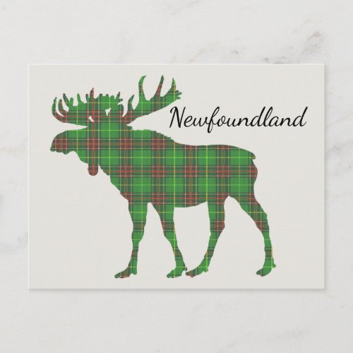 Cute Tartan moose Newfoundland postcard