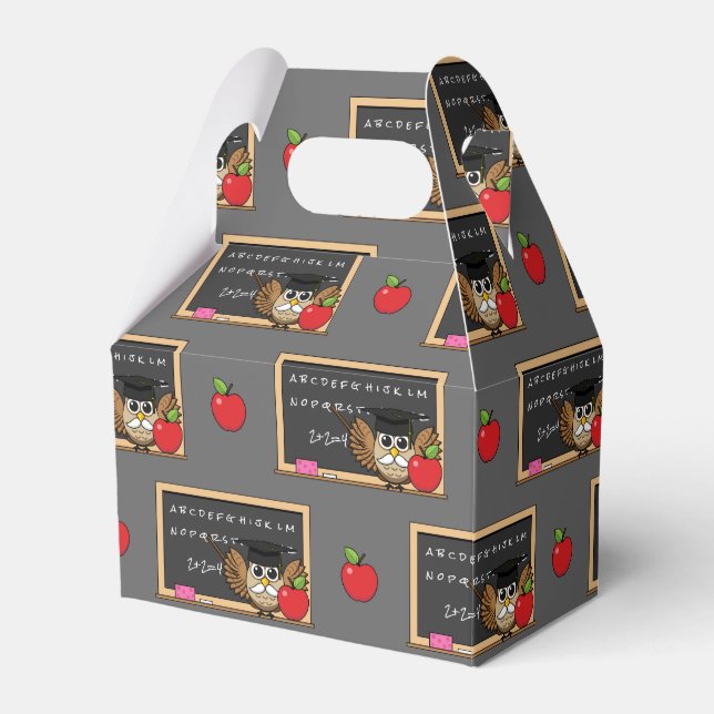 Cute Teacher Owl with Apple Cartoon Favor Boxes (Front Side)