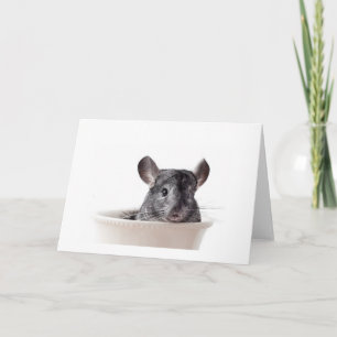Cute Teacup Chinchilla Gray Card
