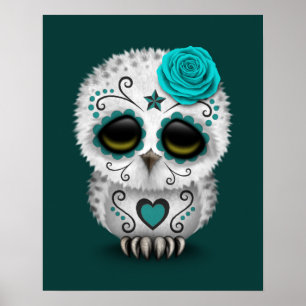Cute Teal Day of the Dead Sugar Skull Owl Poster