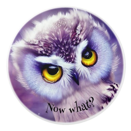 Cute teary eye Baby owl purple aesthetic custom  Ceramic Knob