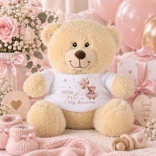 Cute Teddy Bear Baby Shower Teddy Bear Gift