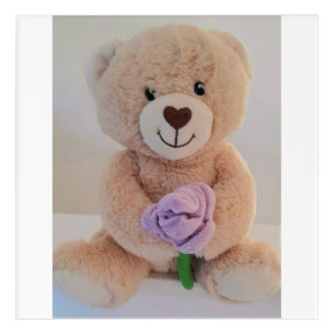 Cute Teddy Bear - New Baby Acrylic Print