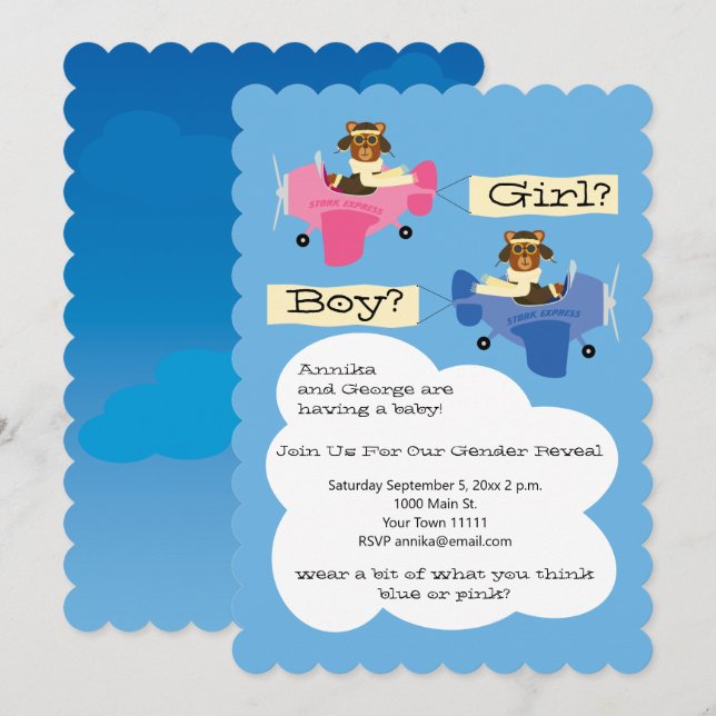 Cute Teddy Bear Pilots Airplane Gender Reveal Invitation (Front/Back)
