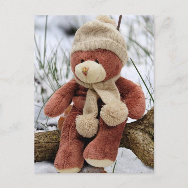 Cute Teddy Bear Postcard (Front)