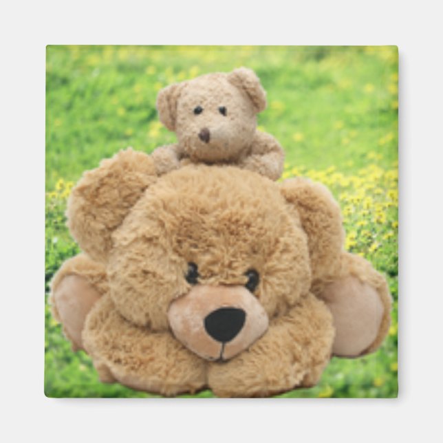 Cute Teddy Bears In A Meadow Magnet (Front)