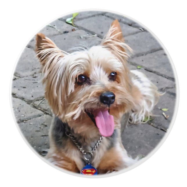 Cute Terrier Ceramic Knob (Front)