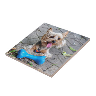 Cute Terrier Ceramic Tile