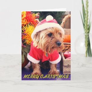 Cute Terrier Christmas Card