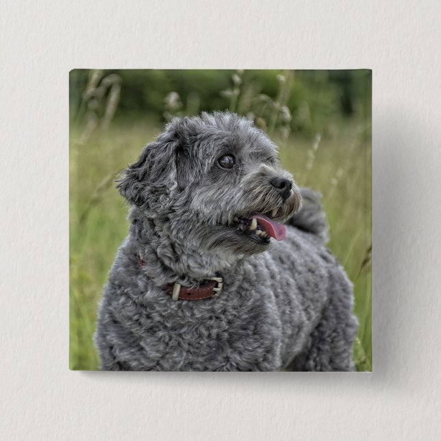 Cute Terrier Dog Button (Front)