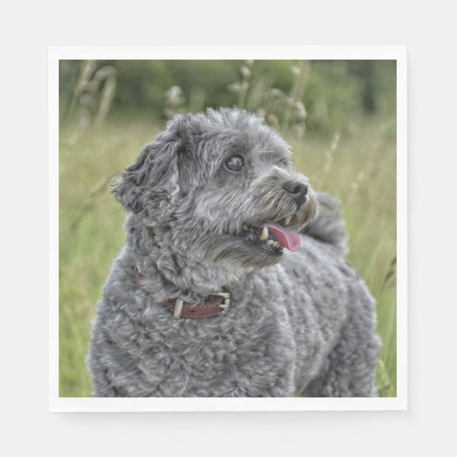 Cute Terrier Dog Napkins (Front)
