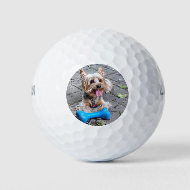 Cute Terrier Golf Balls (Front)