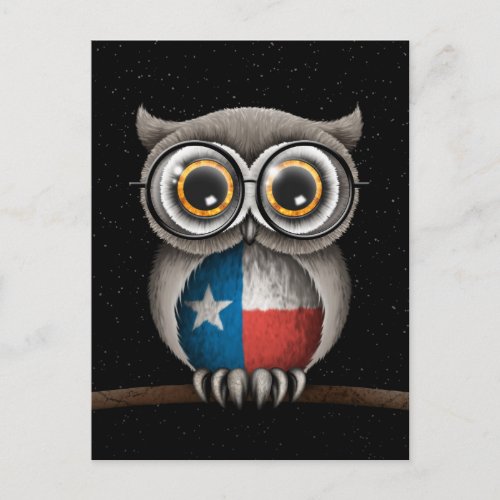 Cute Texas Flag Owl Wearing Glasses Postcard