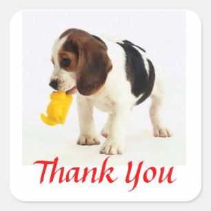 Cute Thank You Beagle Puppy Dog Greeting Stickers