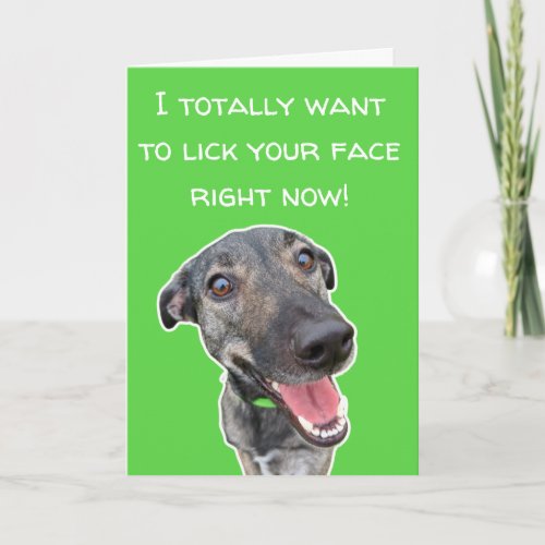 Cute Thank You For Dog Lovers Card