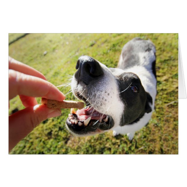 Cute Thank You For Pet Sitting Card (Front Horizontal)