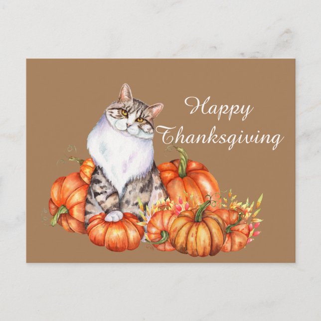 cute Thanksgiving cat add text Holiday Postcard (Front)