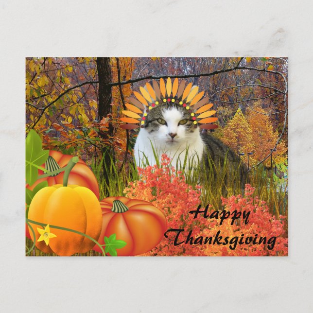 Cute Thanksgiving Cat Collage Art Postcard (Front)