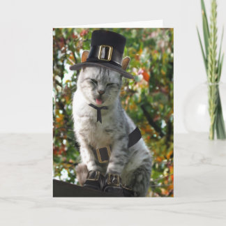 Cute Thanksgiving Pilgrim Cat Holiday Card