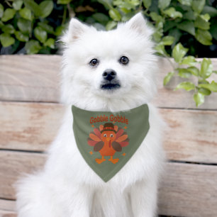 Cute Thanksgiving Turkey Cartoon – “Gobble Gobble” Pet Bandana Collar