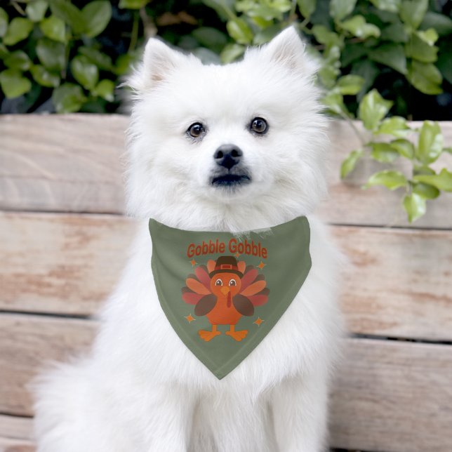 Cute Thanksgiving Turkey Cartoon – “Gobble Gobble” Pet Bandana Collar (Dog)