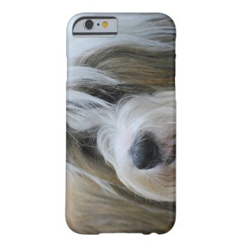 Cute Tibetan Terrier Dog Barely There Iphone 6 Case by DogPoundGifts at Zazzle