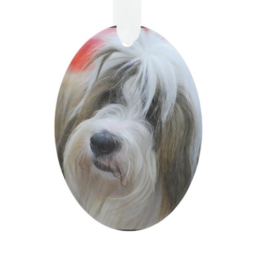 Cute Tibetan Terrier Dog Ornament