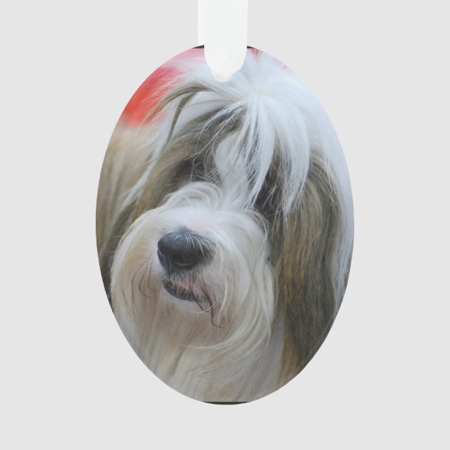 Cute Tibetan Terrier Dog Ornament (Front)