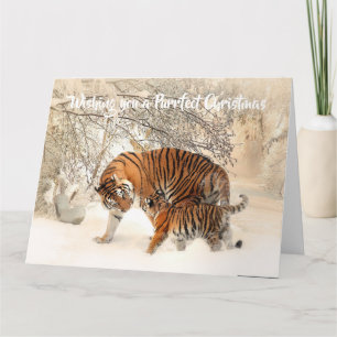 Cute Tiger and Cub - Purrfect Christmas Card