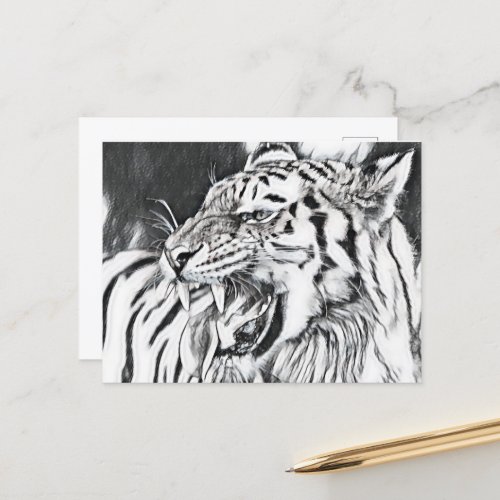 cute tiger animal lovers postcard