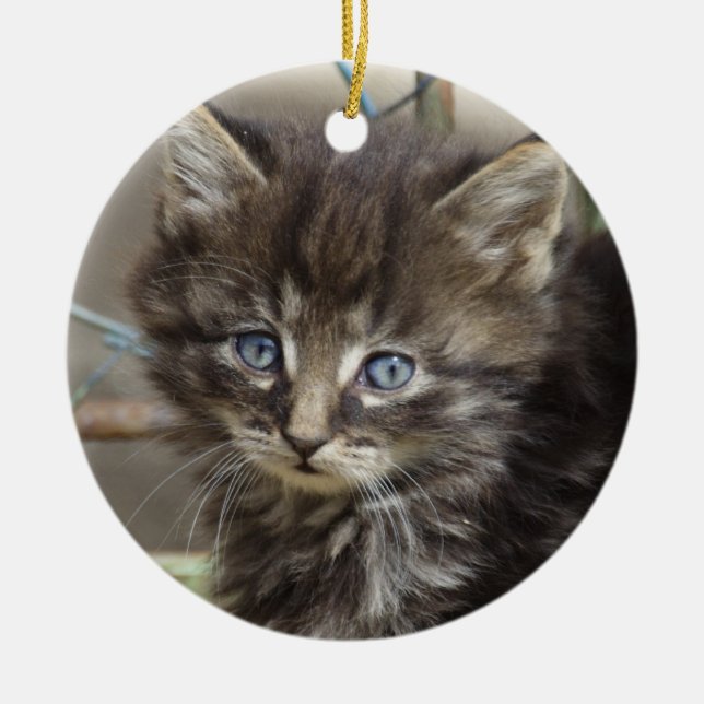 Cute Tiger-Cat Kitten Ceramic Ornament (Front)