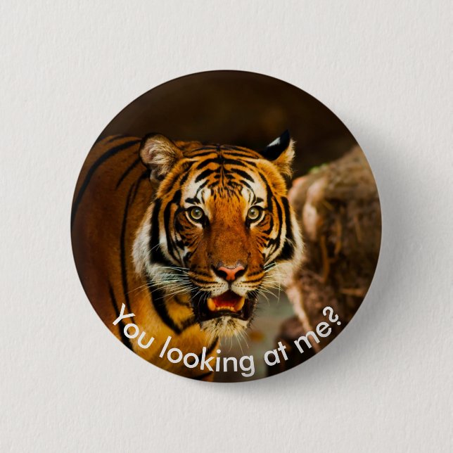 Cute Tiger in grass Button (Front)