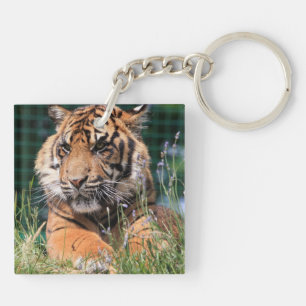 Cute Tiger in grass Keychain