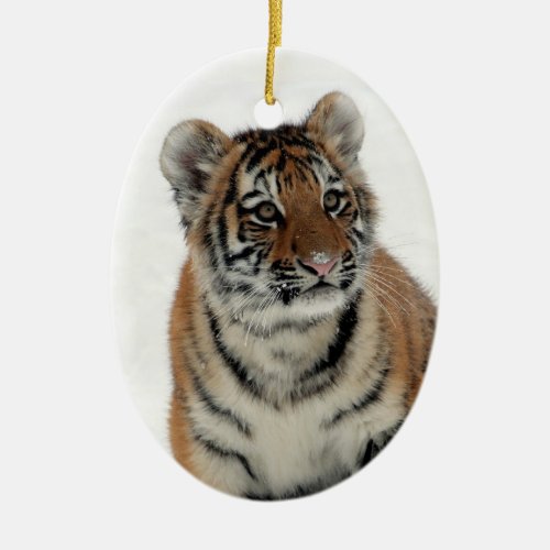 Cute Tiger in the Snow Ceramic Ornament