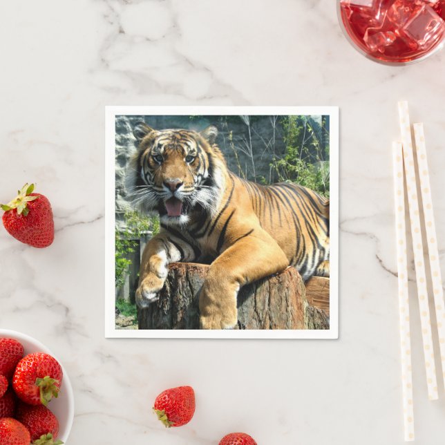 Cute Tiger Napkins (Insitu)