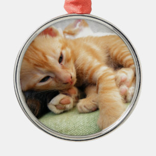 Cute Tiger Stripe Kitten Metal Ornament