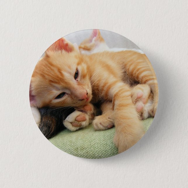 Cute Tiger Stripe Kitten Pinback Button (Front)