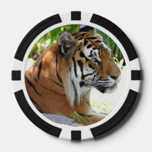 Cute Tigers Poker Chips